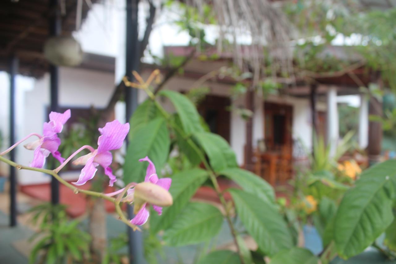 Julie Guest House แทนกาลเล ภายนอก รูปภาพ