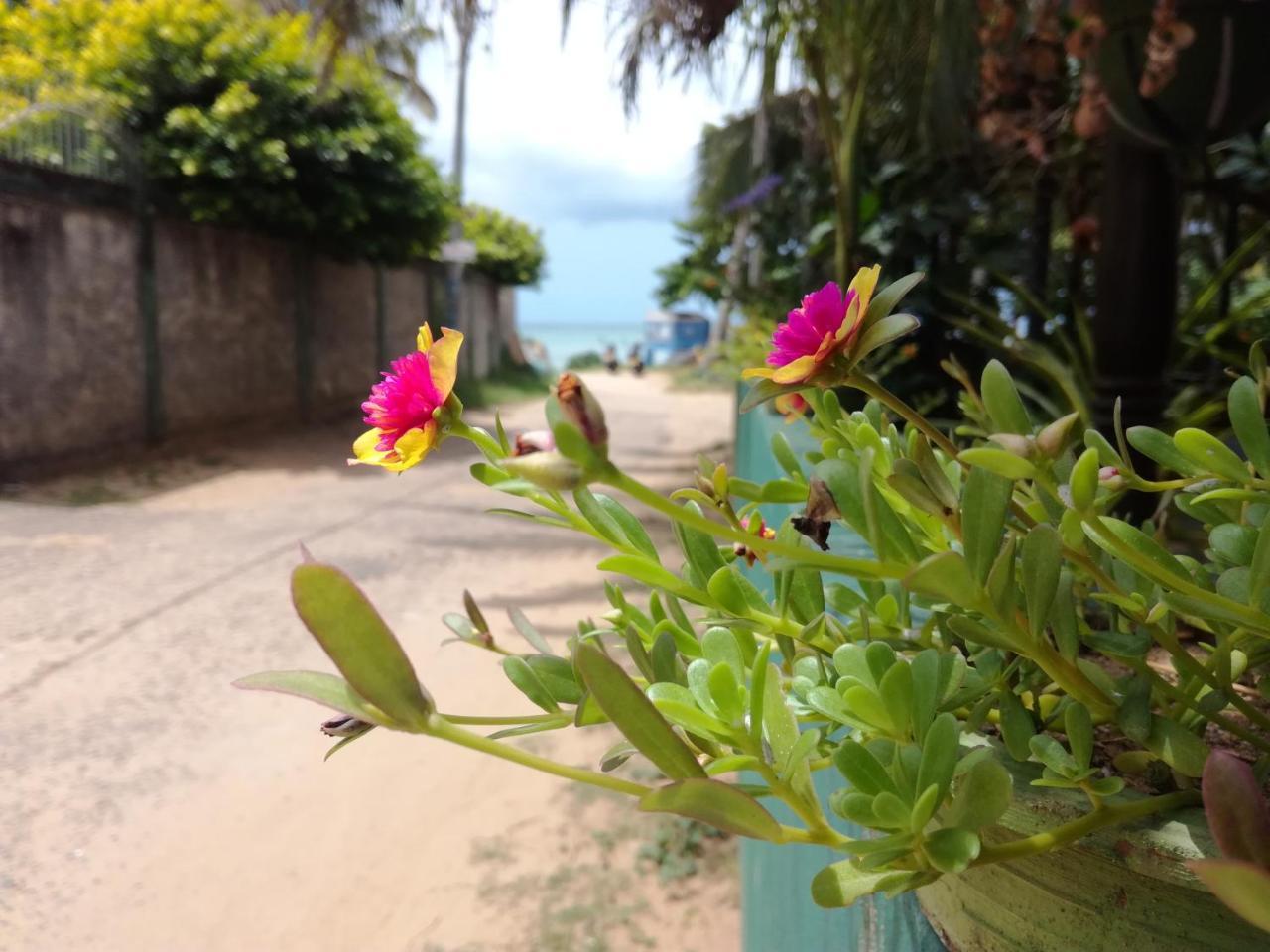 Julie Guest House แทนกาลเล ภายนอก รูปภาพ